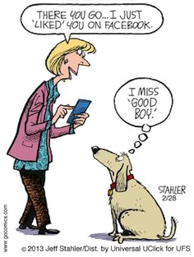 good boy