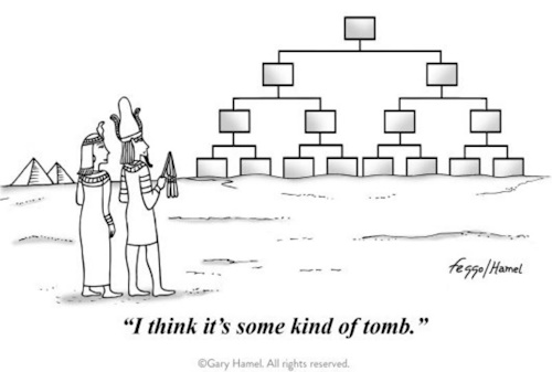 organizations