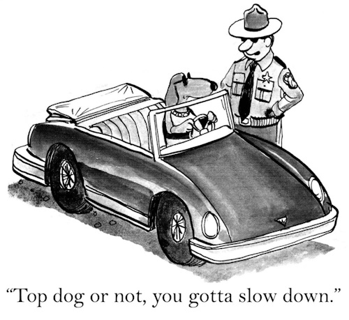 top dog