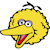 big bird