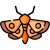 moth