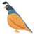 quail